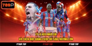Tỷ Lệ Kèo Nhà Cái Và Cách Đọc Bảng Cược Để Săn Thưởng Lớn